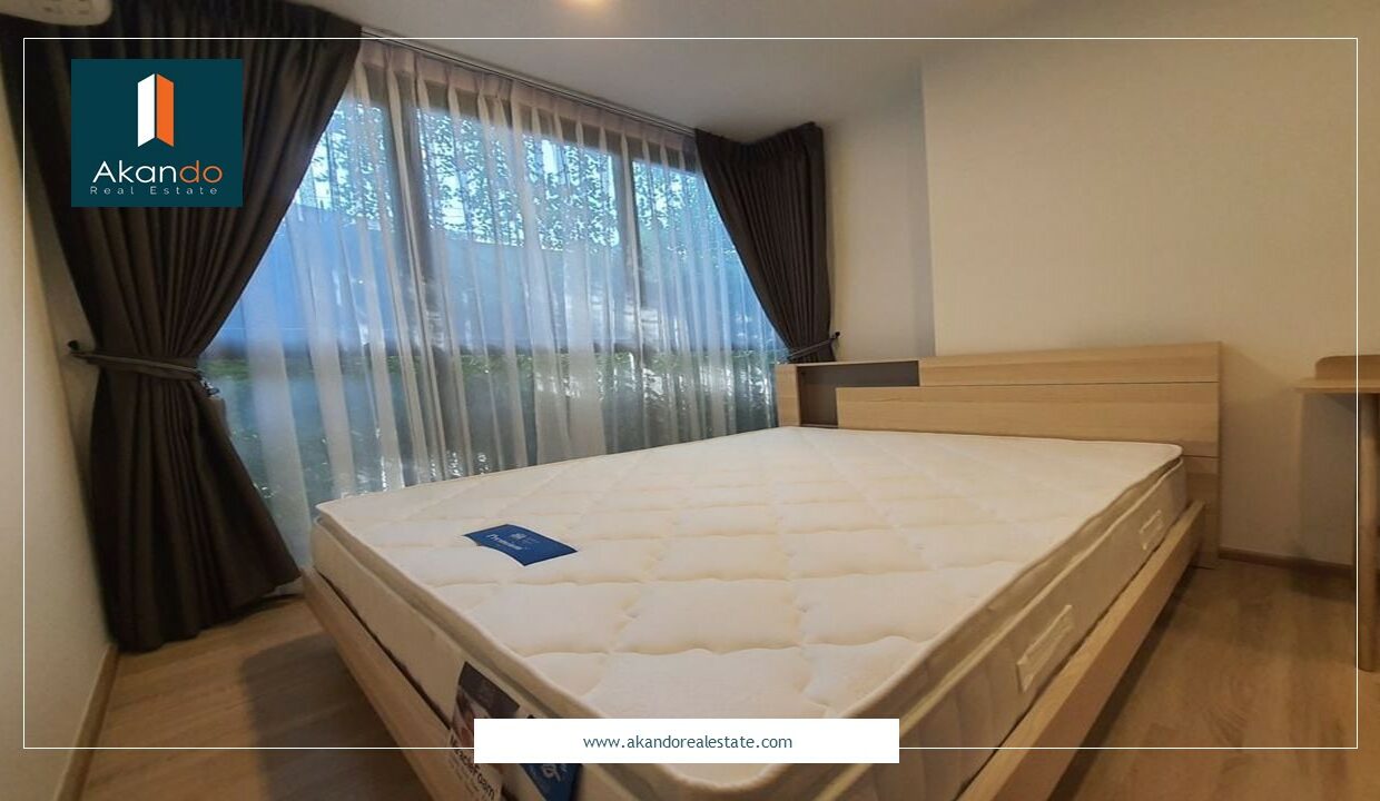 230993502_641143116847220_8161377818001215709_n